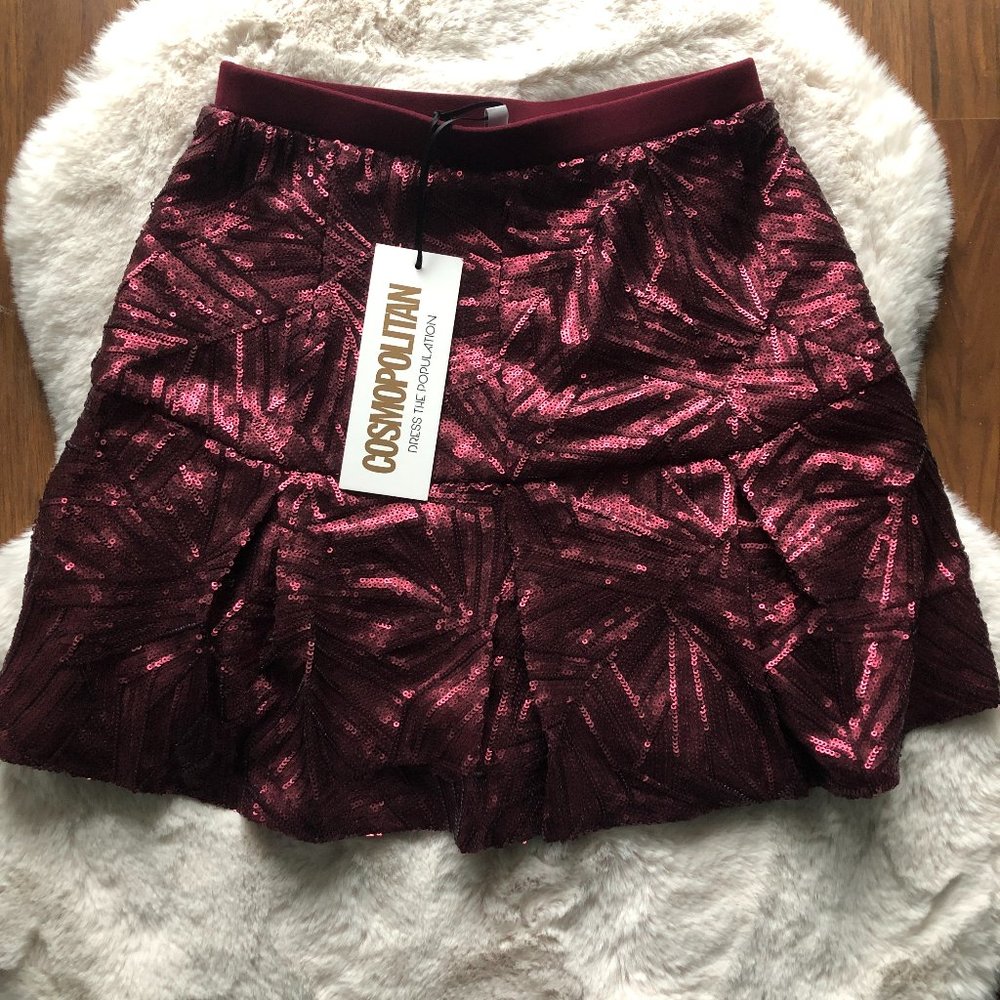 Cosmopolitan Dress the Population Sequin Skirt